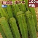 オクラ 低農薬栽培 100g前後 沖縄産