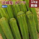 オクラ 低農薬栽培 1kg前後 沖縄産