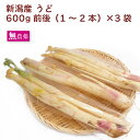 うど 新潟産 1~2本×3袋 無農薬栽培 母の日