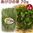 天然あけびの芽 70g×1パック 春の山菜 天然物 春の味覚 母の日