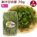 天然あけびの芽 70g×3パック 春の山菜 天然物 春の味覚 母の日