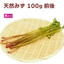 山菜 天然みず 山形産 100g前後×1袋 春の味覚 天然物 春の山菜 季節の野菜 母の日
