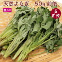 天然よもぎ 青森産 50g× 5パック 母の日