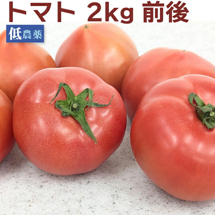 トマト 2kg前後 低農薬栽培