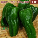 有機ピーマン 無農薬栽培 100g前後×1袋