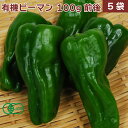 有機ピーマン 無農薬栽培 100g前後×5袋