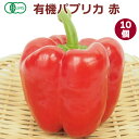 有機パプリカ 赤 10個 無農薬栽培 佐賀産 食卓に華やかな彩を添える食材