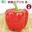 有機パプリカ 赤 5個 無農薬栽培 佐賀産 食卓に華やかな彩を添える食材