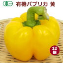 有機パプリカ 黄 10個 無農薬栽培 佐賀産 食卓に華やかな彩を添える食材