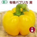 有機パプリカ 黄 5個 無農薬栽培 佐賀産 食卓に華やかな彩を添える食材