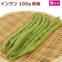 国産 インゲン 無農薬栽培 100g前後