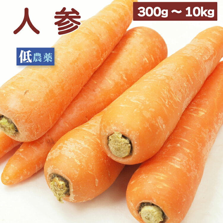 国産　人参　低農薬栽培 常備野菜【300g・1kg・3kg・5kg・10kgから選べます】