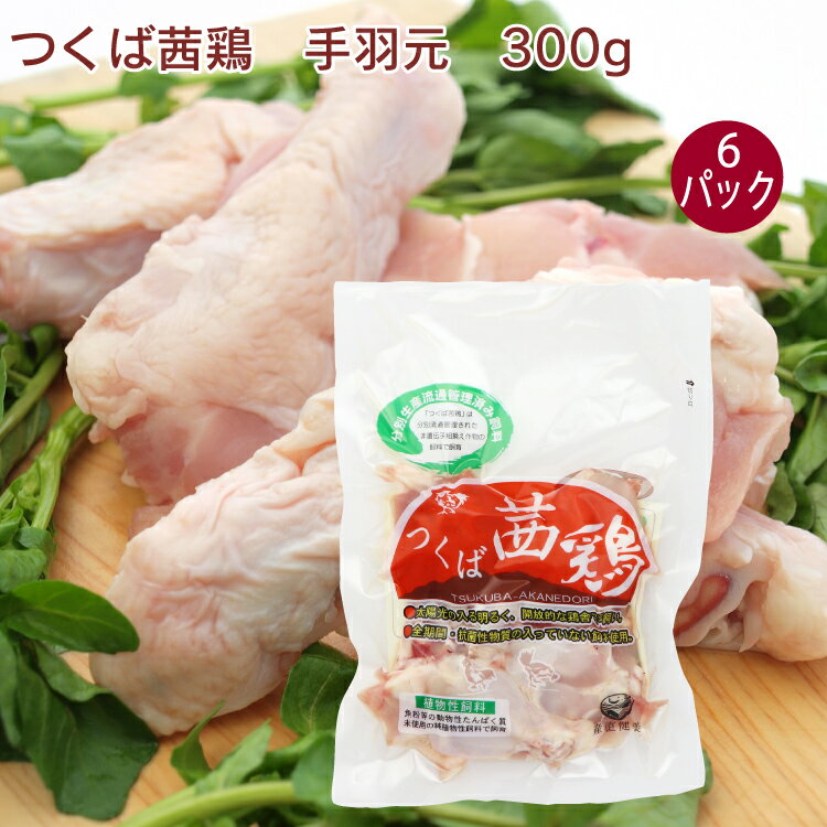 千葉産直サービス つくば茜鶏(エコかざ鶏)手羽元 ウィング 300g× 6パック 国内では数少ない鶏種のレッドブロー種