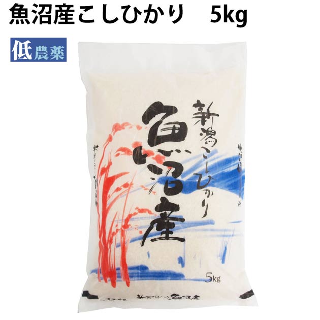 魚沼産こしひかり 5kg× 1袋　低農薬栽培　コシヒカリ
