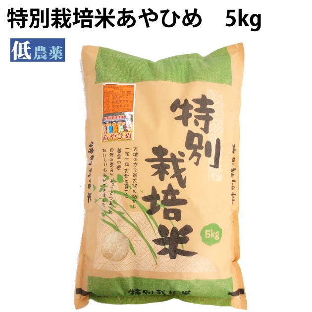 国産 低農薬 白米 北海道産 特別栽培米 送料込　新篠津クリーンあやひめ組合 あやひめ 5kg 1袋