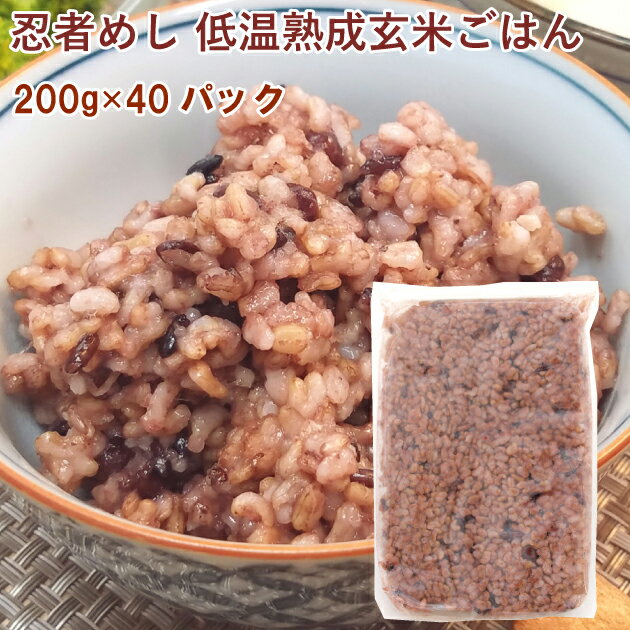 パックご飯 忍者めし 低温熟成玄米ごはん 200g 40パック レトルトごはん