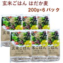 恒食 玄米ごはん はだか麦 200g 6パック 父の日