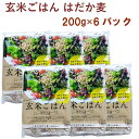 国産玄米を低温熟成し、やわらかでもちもち食感の玄米に、食物繊維が豊富なはだか麦を加えました。レンジなし、湯煎などあたためずにそのままでも美味しく召し上がれます。普段使いはもちろん、ご家庭の非常時・備蓄食料としてもお使いいただけます。原材料：玄米（国産）、はだか麦、塩内容量：200g　数量：6パック　販売者：恒食
