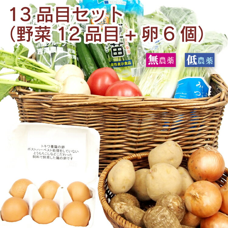 ベジタブルハート 旬の野菜 野菜と卵のセット 13品目 こだわり 野菜セット 詰め合わせ 旬 ギフト 贈り物 プレゼント お取り寄せ お中元 お歳暮 じゃがいも