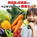 無農薬と低農薬だけ!野菜 詰め合わせセット 新鮮 今が旬 オーガニック ギフト ほうれん草 トマト きゅうり じゃがいも 玉ねぎ にんじん 北海道 九州 送料無料 国産野菜 健康 減農薬 旬の野菜 野菜セット 一人暮らし