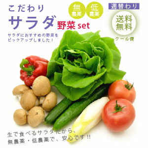 こだわりサラダ野菜セット