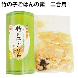 小川食品工業　京都産竹の子ご飯の素 2合用×10個