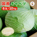 国産 キャベツ 10kg 6玉入り 1箱 業務用 送料無料 きゃべつ 野菜 新鮮 1ケース 冬キャベツ 寒玉 箱買い