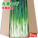 九条ねぎ 5kg 業務用 送料無料 【 京都府産 5キロ 1箱 クール便 】【 葱 薬味 青ねぎ ねぎ ネギ 青葱 青ネギ 長葱 長ねぎ 長ネギ 薬味 薬味用 薬味葱 薬味ネギ 薬味ねぎ 送料込み 徳用 新鮮 鮮度 1ケース 飲食店 冷蔵便 均一 香り 】