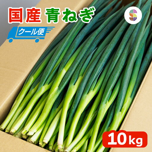 国産 青ねぎ 10kg 業務用 送料無料 【 徳島県産 薬味 青ネギ 10キロ 1箱 クール便 】【 葱 ねぎ ネギ 青葱 青ネギ 長葱 長ねぎ 長ネギ 細葱 細ねぎ 細ネギ 細め 細い 薬味 薬味用 薬味葱 薬味ネギ 万能 送料込み 徳用 新鮮 箱買い 1ケース 飲食店 冷蔵便 均一 香り 】 国産 青ねぎ 10kg 業務用 送料無料 【 徳島県産 薬味 青ネギ 10キロ 1箱 クール便 】【 葱 ねぎ ネギ 青葱 青ネギ 長葱 長ねぎ 長ネギ 細葱 細ねぎ 細ネギ 細め 細い 薬味 薬味用 薬味葱 薬味ネギ 万能 送料込み 徳用 新鮮 箱買い 1ケース 飲食店 冷蔵便 均一 香り 】