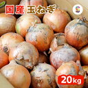 国産 玉ねぎ 大きな Lサイズ 20kg 業務用 送料無料 【 産地厳選 玉葱 20キロ 1箱 約48~55個入り 】【 規格品 玉ネギ タマネギ 訳あり 送料込み 甘い フルーツ サイズ オニオン 大容量 徳用 新鮮 箱買い 1ケース 飲食店 均一 野菜 肉厚 カレー ジューシー まとめ買い 】