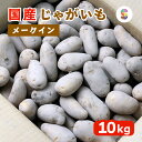 国産 じゃがいも メークイン 10kg 業務用 送料無料 【 産地厳選 メークイン 10キロ 1箱 】【 ジャガイモ 送料込み サイズ 大容量 徳用 新鮮 箱買い 1ケース 飲食店 均一 野菜 カレー まとめ買い 】