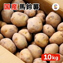 国産 じゃがいも 男爵 大きな Lサイズ 10kg 業務用 送料無料 【 産地厳選 馬鈴薯 10キロ 1箱 】【 規格品 ジャガイモ 送料込み 甘い フルーツ サイズ 大容量 徳用 新鮮 箱買い 1ケース 飲食店 均一 野菜 肉厚 カレー ジューシー まとめ買い 】