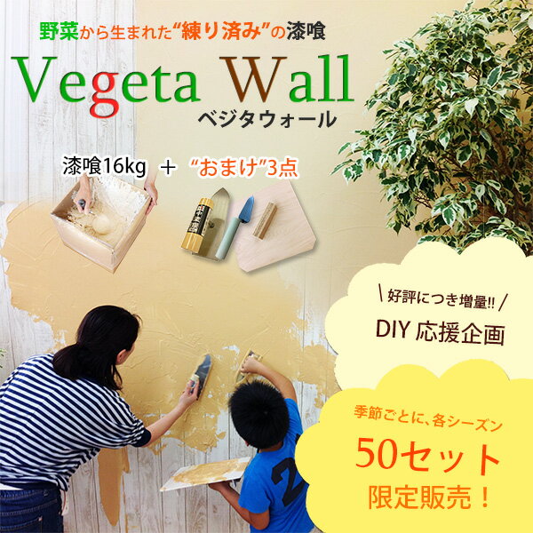 シーズン限定50セット！DIY応援セット登場!!ベジタウォール16kg＋コテ2種＋コテ板練済みで体に優しい当店イチオシ漆…