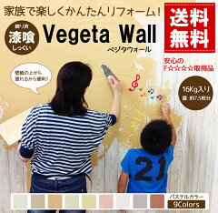 https://thumbnail.image.rakuten.co.jp/@0_mall/vegetawall/cabinet/sikkui/imgrc0066573056.jpg