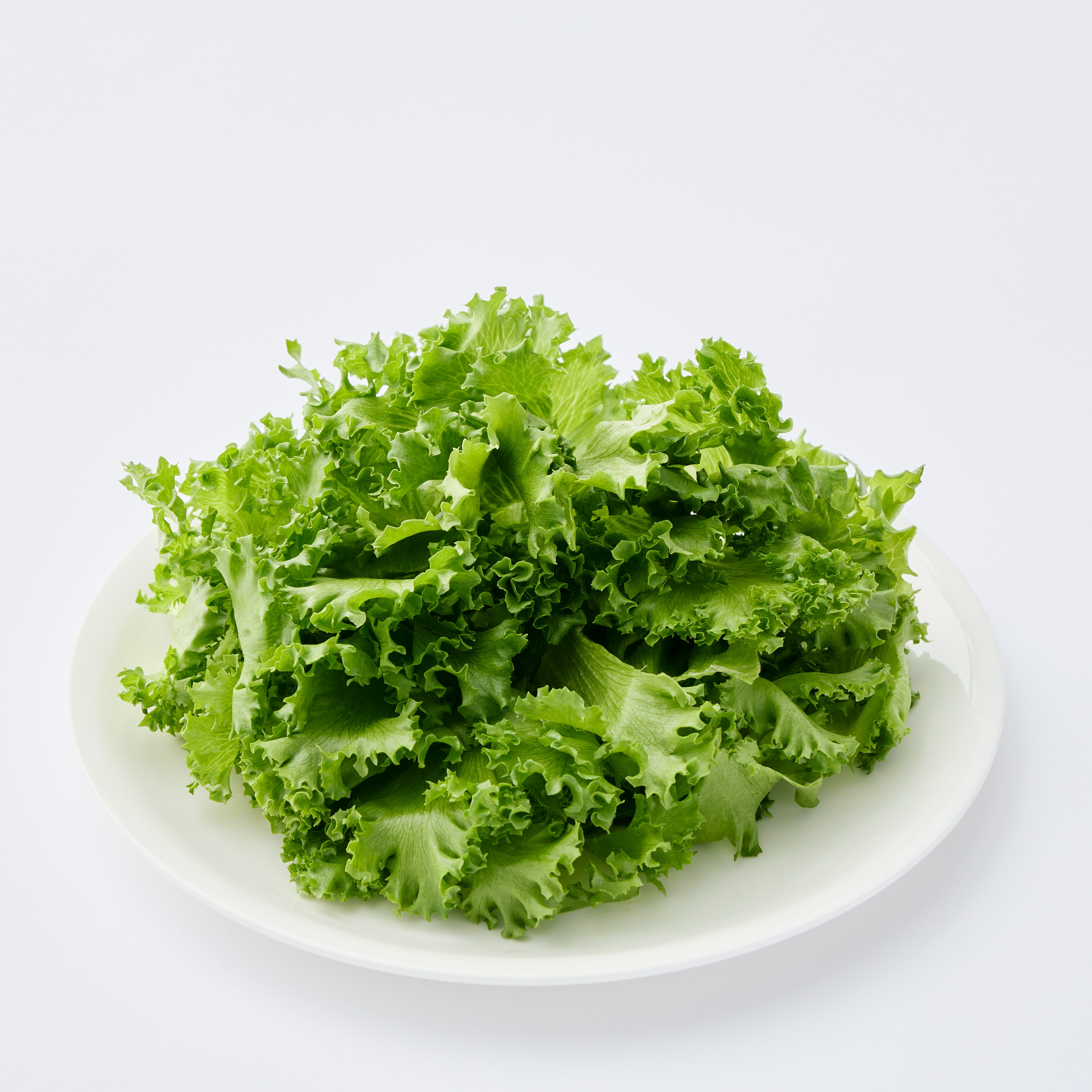 【 野菜工場 Vegetory フリルレタス / 500g 】 リーフ レタス 水耕栽培 生で食べれる 野菜 産地直送 無農薬 無農薬野菜 農薬不使用 洗わず食べられる 無農薬レタス 愛知県産 生野菜 サラダ サラダ用 フリルレタス お取り寄せ 国産 苦くない 新鮮 そのまま食べられる 日持ち 2