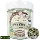 グリーンフィールドプロジェクト 発芽豆栽培キット 青えんどう豆