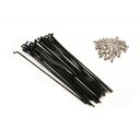 BROMPTON ブロンプトン Spoke/nipple set 13g Plain Gauge - 146mm スポーク/ニップルセット 13g プレーンゲー...