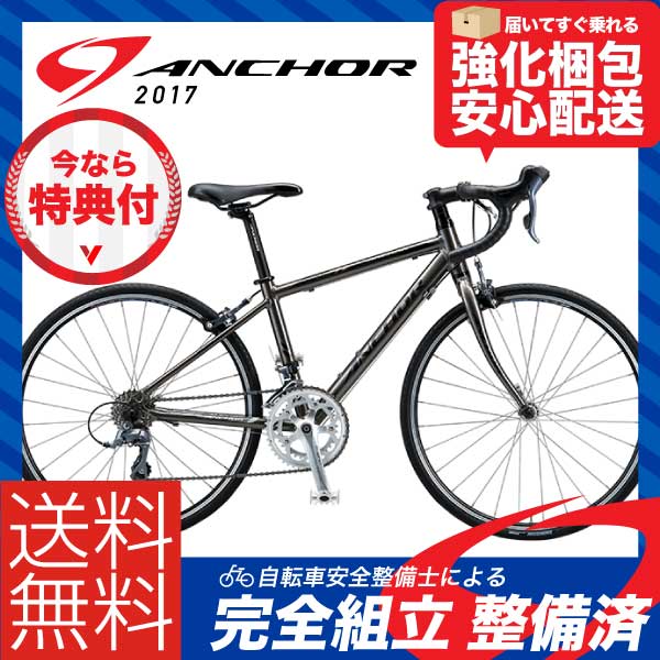 (送料無料)(特典付)キッズ・ジュニア 2017年モデル ANCHOR アンカー RJ1 レーシングガンメタ