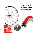 トレーニングホイールセット SHIMANO WH-RS100リアのみ Vittoriaホームトレーナー700×23C 11S用(組付け済)(選べるスプロケット歯数)