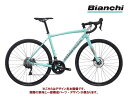 (選べる特典付)2025 BIANCHI ビアンキ VIA NIRONE 7 DISC 105 ビア ニローネ7 ディスク105 2×11S CK16/チタニウ...