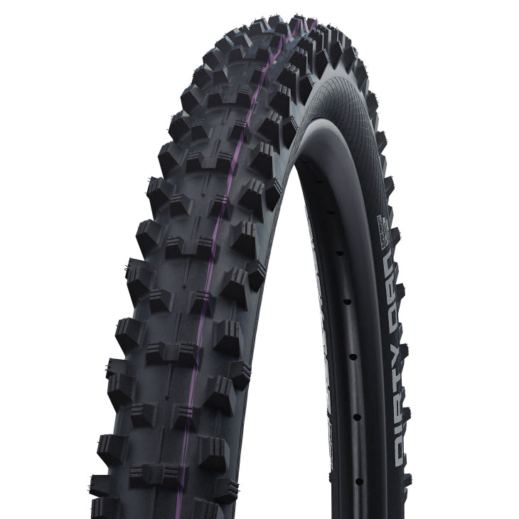 Rakuten - SCHWALBE シュワルベ DIRTY DAN ダーティ ダン(1本)チューブレス MTB タイヤ