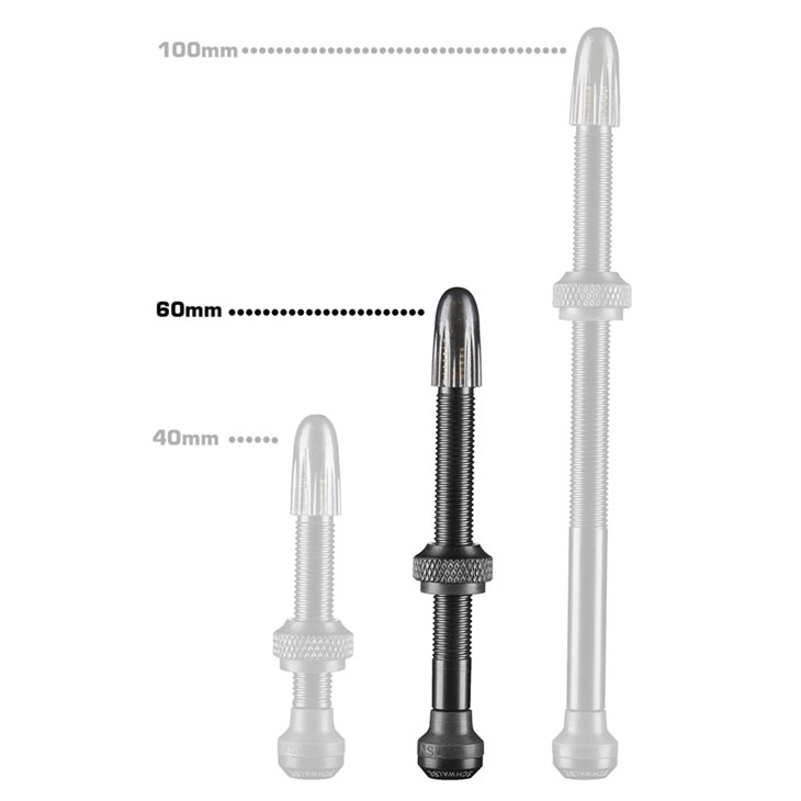 ([֑Ήi)SCHWALBE Vx TUBELESS VALVE `[uX ou 60mm(SW-3471)ou