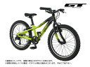 (選べる特典付) GT ジーティー STOMPER HT ACE 20 ストンパーHTエース20 シャルトリューズ 7段変速 20インチ ジュニアバイク(推奨身...