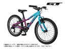 (選べる特典付) GT ジーティー STOMPER HT ACE 20 ストンパーHTエース20 ラズベリー 7段変速 20インチ ジュニアバイク(推奨身長:1...