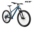(選べる特典付)GT ジーティー ZASKAR LT ELITE ザスカー エル・ティー エリート ダスティーブルー 11speed 29インチ MTB マウンテンバイク