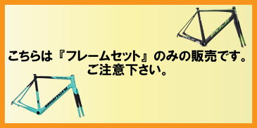 (ケミカル3点プレゼント)トラックバイク 2020 FUJI フジ TRACK ELITE FRAME SET カーボン/シトラス フレームセット