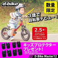 GW限定プロテクタープレゼント!アイデスD-BikeMaster12(ディーバイクマスター12)【送料無料/北海道・沖縄は除く】【包装不可バランスバイクキッズ自転車ペダルレスバイク