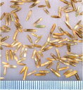 【 芝 緑化 種 ペレニアルライグラス 】 ペレニアルライグラス 1kg 牧草 放牧 採草 栽培用 緑化 芝生 種子 カネコ種苗