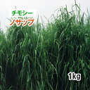 【 飼料用 チモシー 】 ノサップ (早生) 1kg 牧草 放牧 採草 栽培用 緑化 種子 カネコ種苗