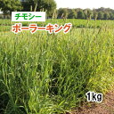 【 飼料用 チモシー 】 ポーラーキング （中早生） 1kg 牧草 放牧 採草 栽培用 緑化 種子 カネコ種苗